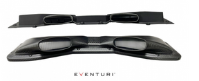 Eventuri Carbon-Ansaugsystem RS6 C8