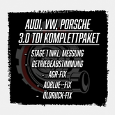 3.0 TDI Tuning-Komplettpaket Audi VW Porsche